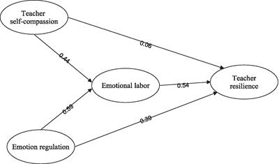 Frontiers | Examining The Effects Of Teacher Self-compassion, Emotion ...